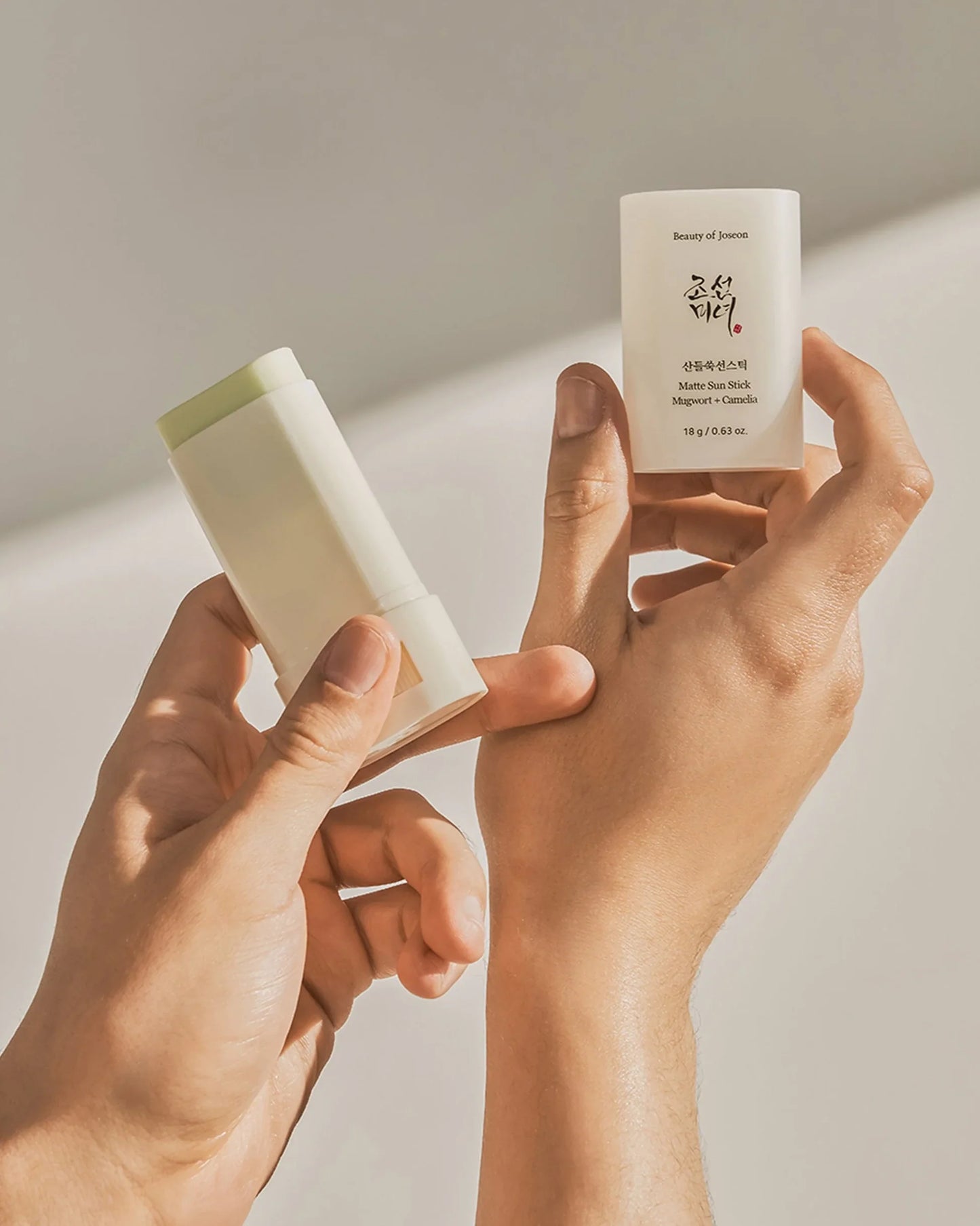 Beauty of Joseon Matte Sun Stick: Mugwort + Camelia SPF 50+ PA++++ 18g